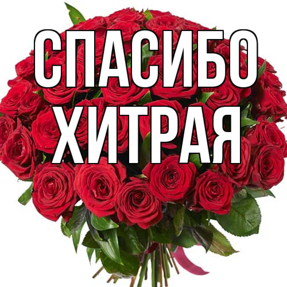 Открытка на каждый день с именем, хитрая Спасибо букет красных роз Прикольная открытка с пожеланием онлайн скачать бесплатно 