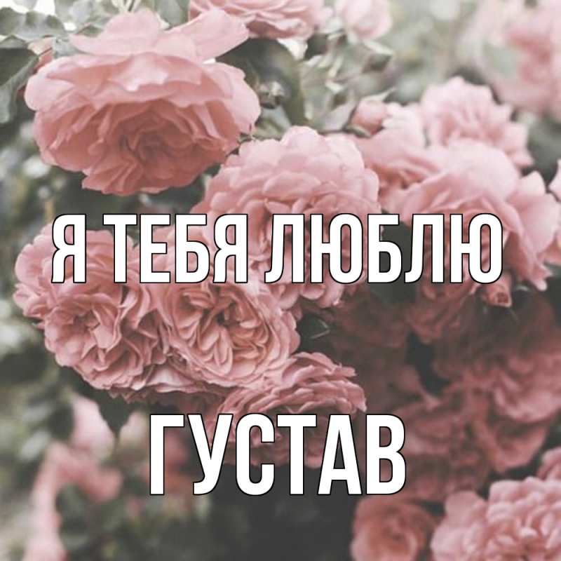 Картинка Я тебя люблю, Густав