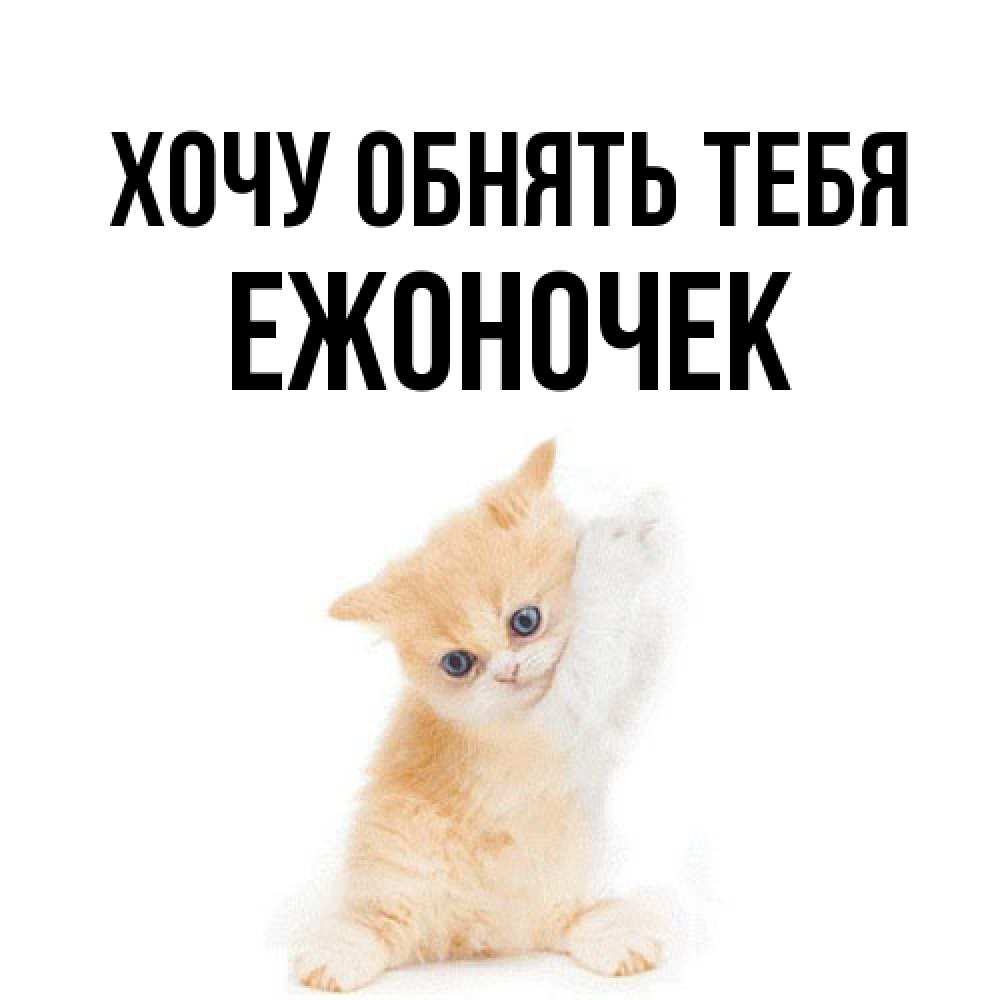 Открытка на каждый день с именем, Ежоночек Хочу обнять тебя я хочу очень скорее обнимаешек Прикольная открытка с пожеланием онлайн скачать бесплатно 