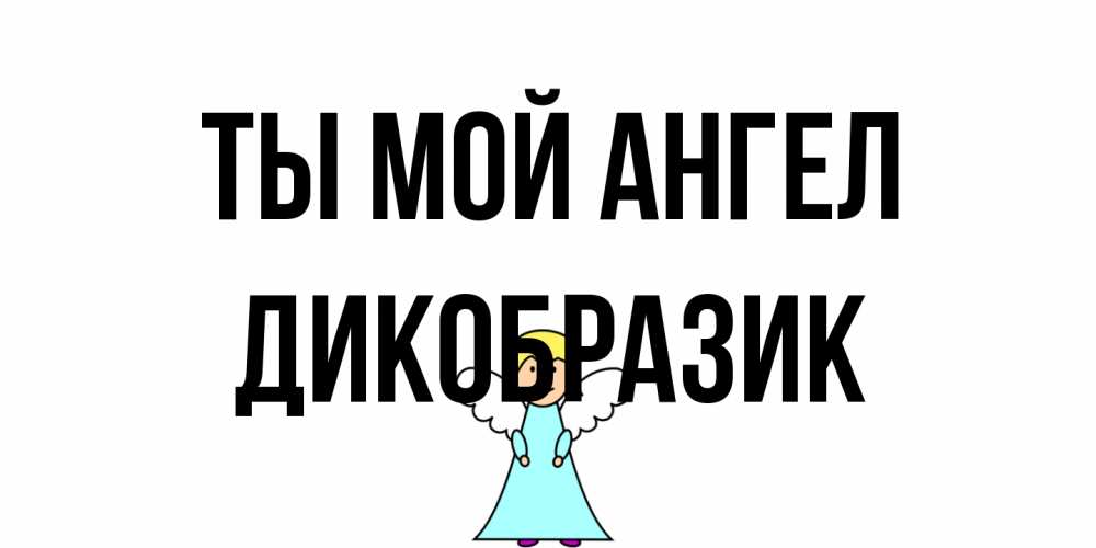 Открытка на каждый день с именем, дикобразик Ты мой ангел ангел Прикольная открытка с пожеланием онлайн скачать бесплатно 