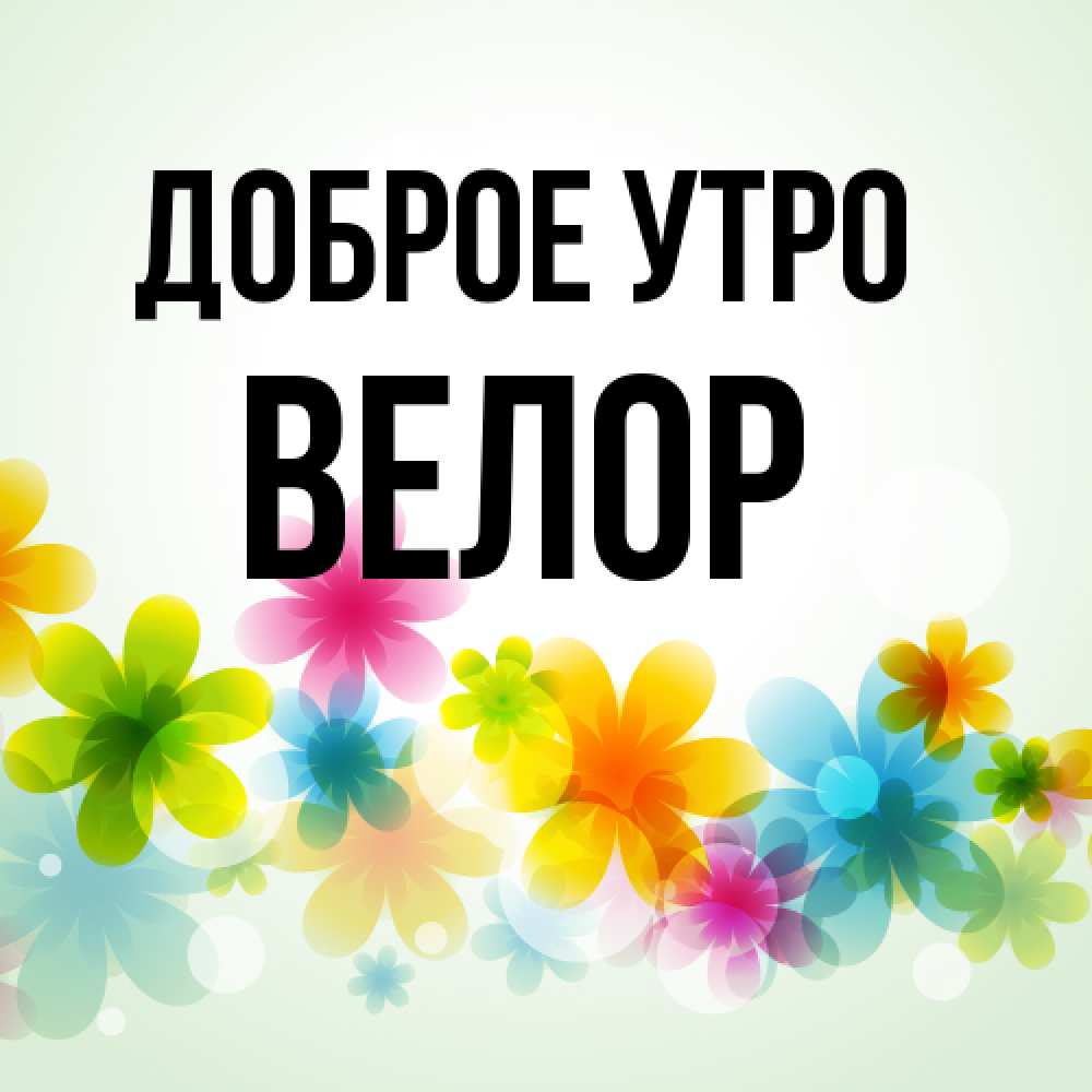 Открытка на каждый день с именем, Велор Доброе утро позитивные цветочки Прикольная открытка с пожеланием онлайн скачать бесплатно 