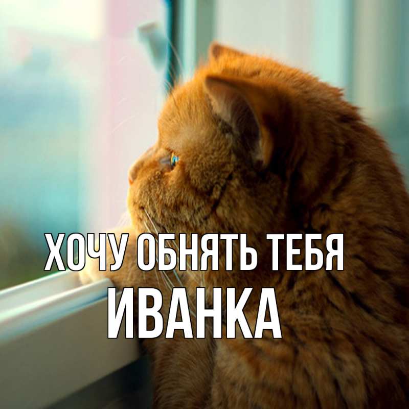 Картинка Хочу обнять тебя, Иванка