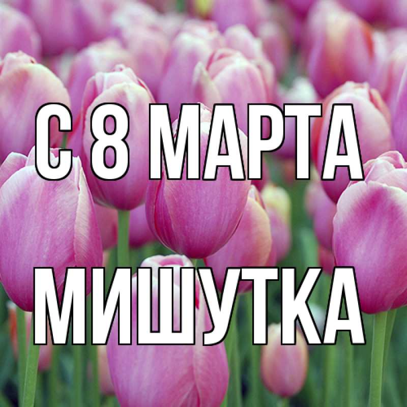 Картинка C 8 МАРТА, Мишутка