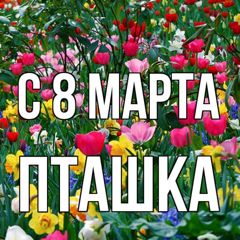 Картинка C 8 МАРТА, пташка