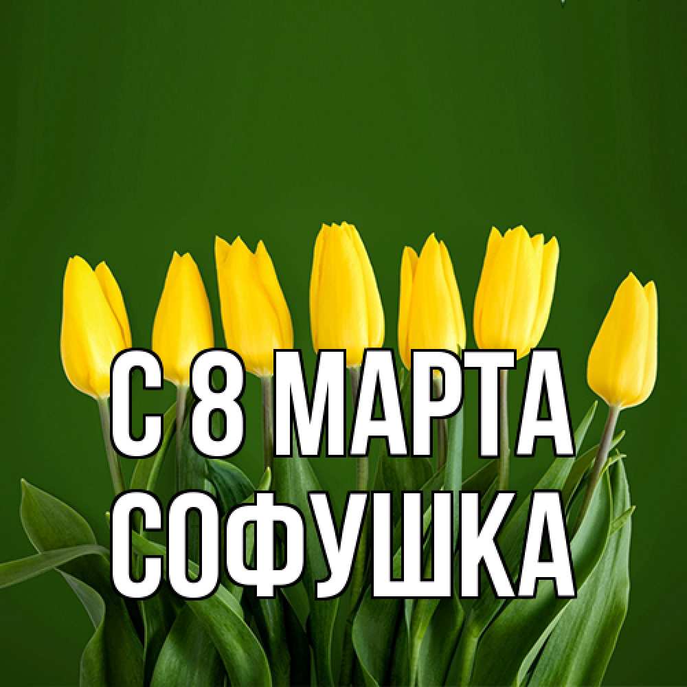 Открытка на каждый день с именем, Софушка C 8 МАРТА желтого цвета 3 Прикольная открытка с пожеланием онлайн скачать бесплатно 