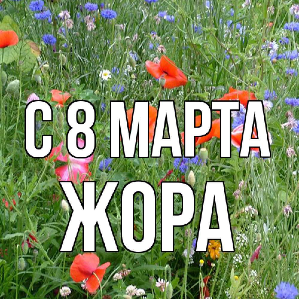 Открытка на каждый день с именем, Жора C 8 МАРТА международный женский день 4 Прикольная открытка с пожеланием онлайн скачать бесплатно 