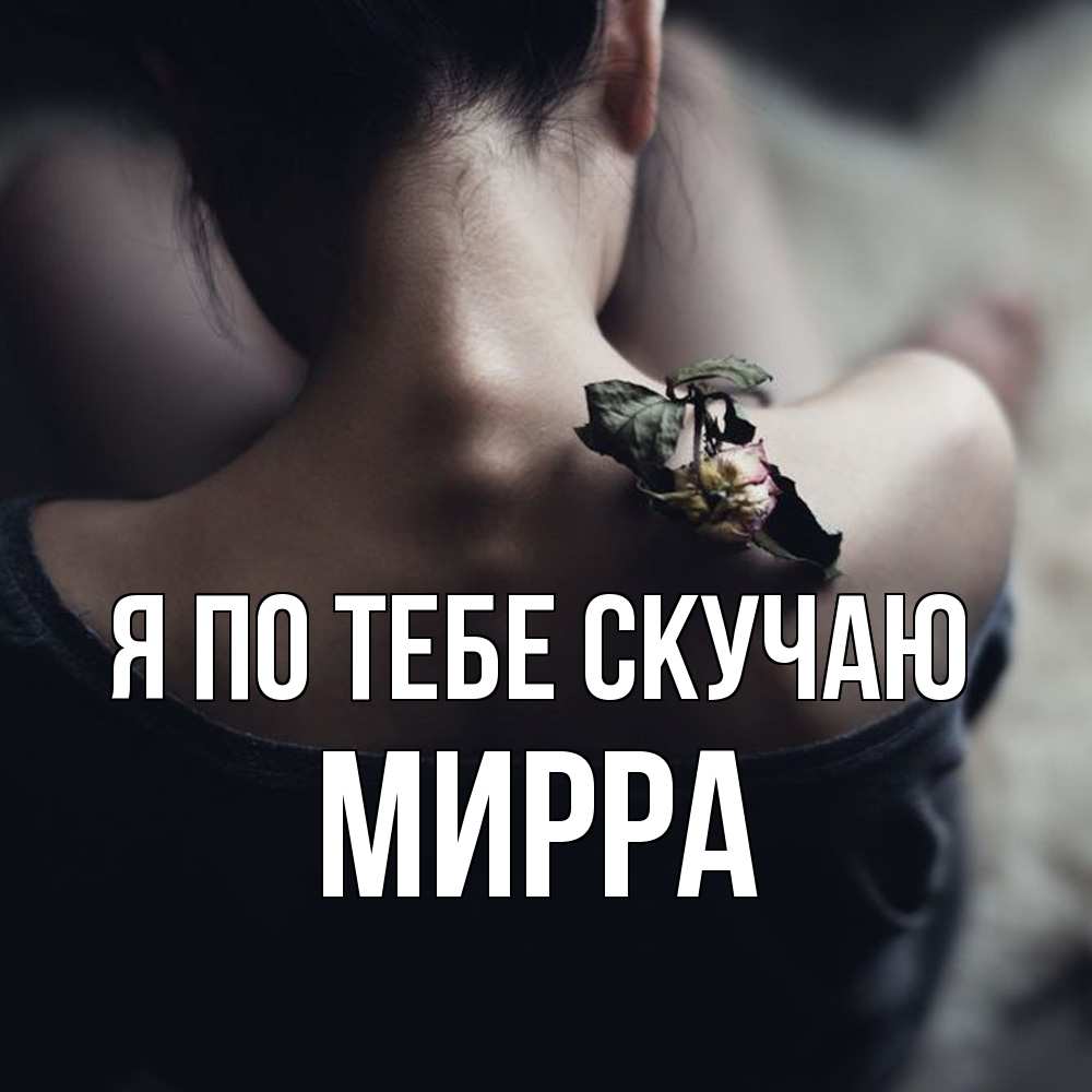 Открытка на каждый день с именем, Мирра Я по тебе скучаю засох цветок Прикольная открытка с пожеланием онлайн скачать бесплатно 
