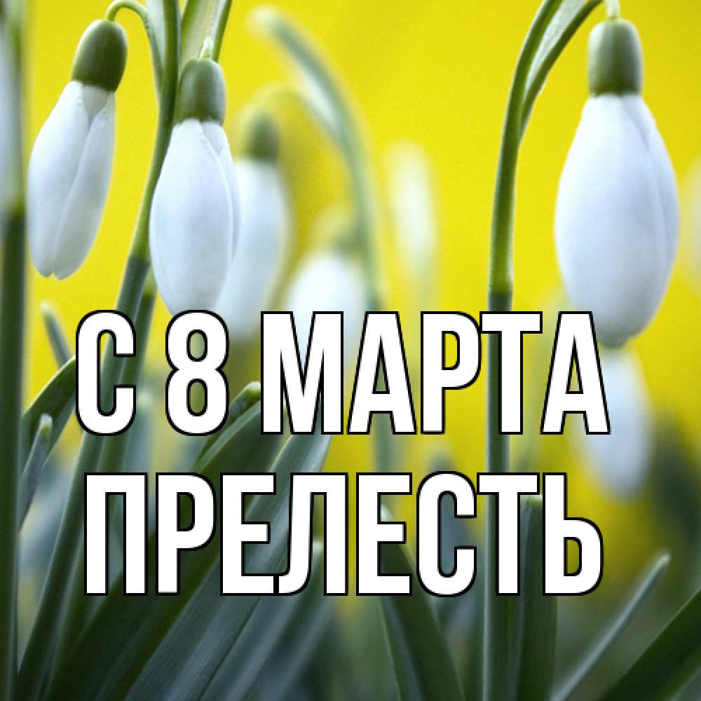 Открытка на каждый день с именем, прелесть C 8 МАРТА весенние цветы Прикольная открытка с пожеланием онлайн скачать бесплатно 
