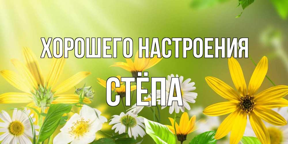 Открытка на каждый день с именем, Стёпа Хорошего настроения цветы Прикольная открытка с пожеланием онлайн скачать бесплатно 