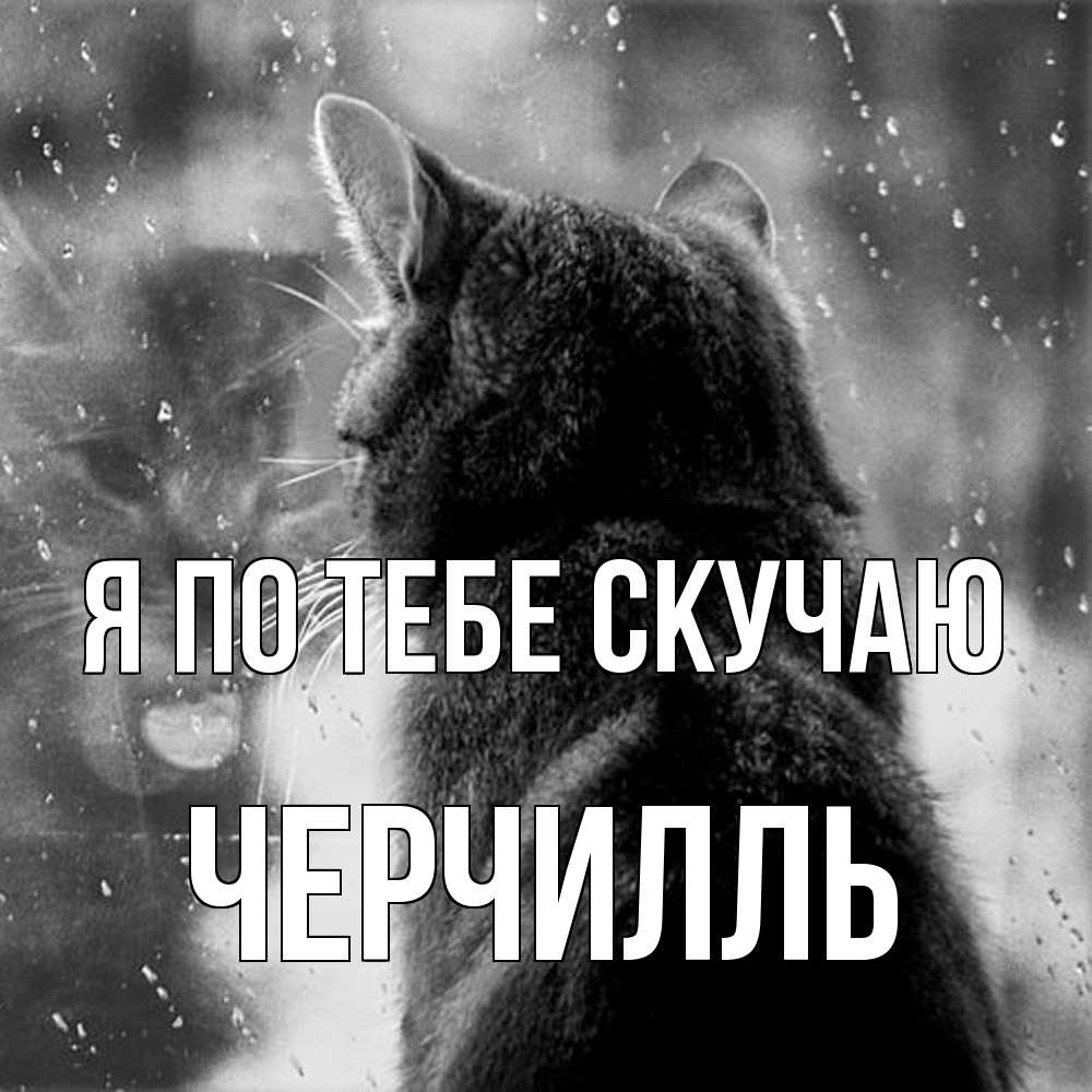 Открытка на каждый день с именем, Черчилль Я по тебе скучаю скорее ко мне приходи 1 Прикольная открытка с пожеланием онлайн скачать бесплатно 