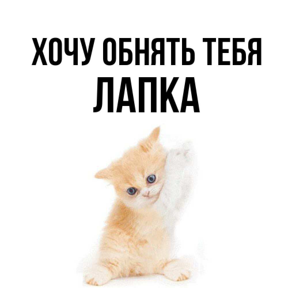 Открытка на каждый день с именем, лапка Хочу обнять тебя я хочу очень скорее обнимаешек Прикольная открытка с пожеланием онлайн скачать бесплатно 
