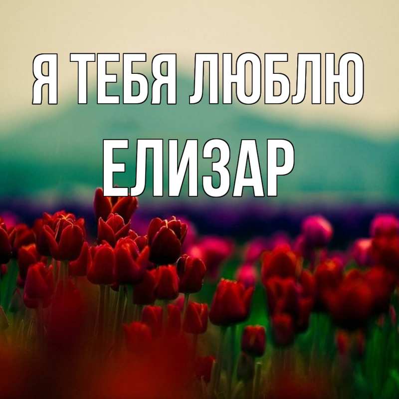 Картинка Я тебя люблю, Елизар