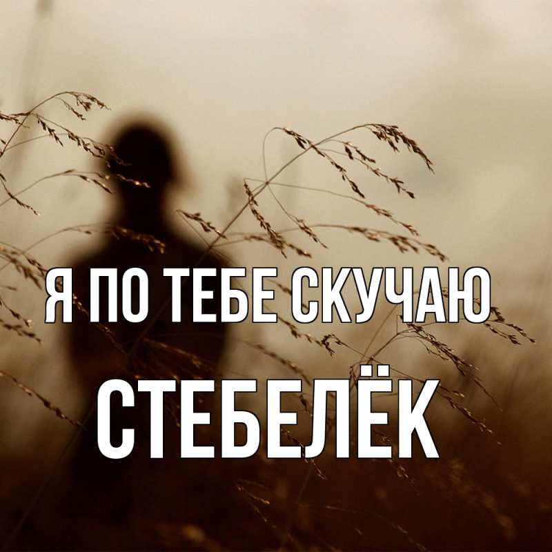 Картинка Я по тебе скучаю, Стебелёк