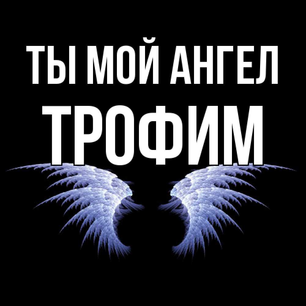 Открытка на каждый день с именем, Трофим Ты мой ангел ангельские крылья на черном фоне Прикольная открытка с пожеланием онлайн скачать бесплатно 