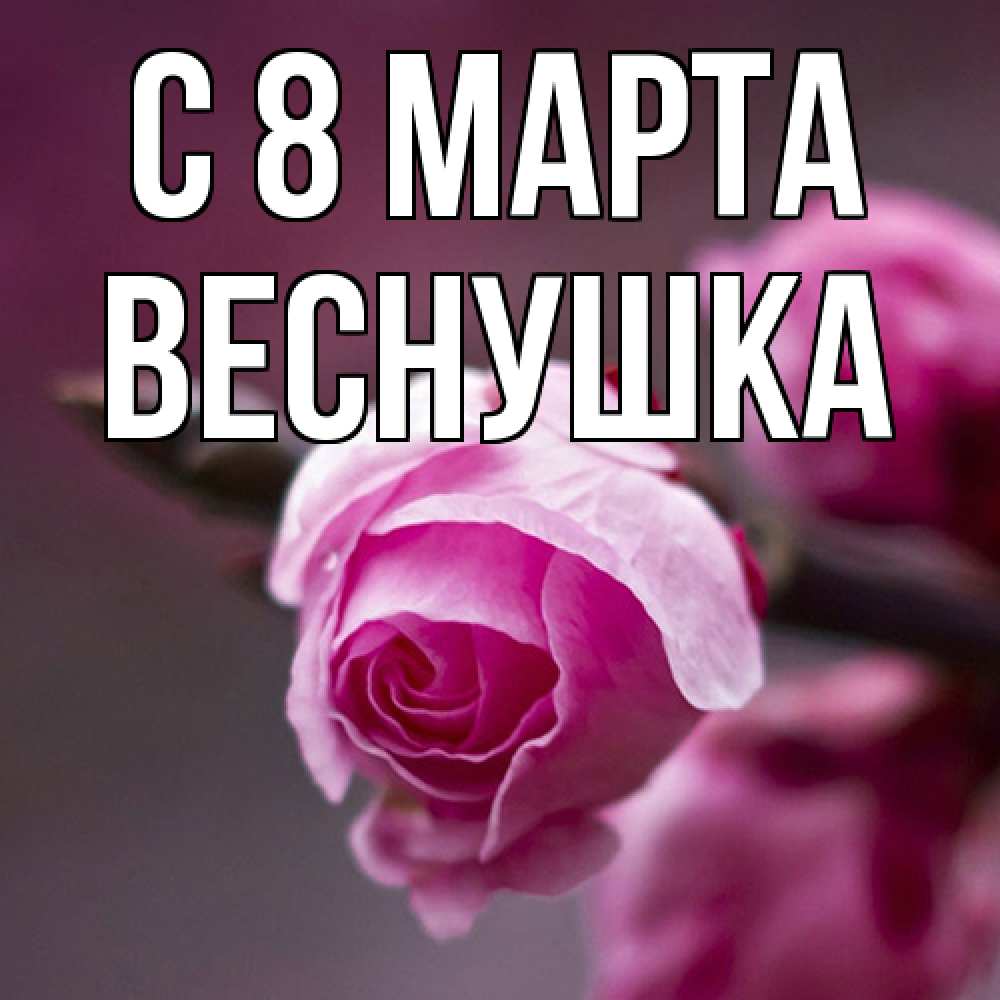 Открытка на каждый день с именем, веснушка C 8 МАРТА весна Прикольная открытка с пожеланием онлайн скачать бесплатно 