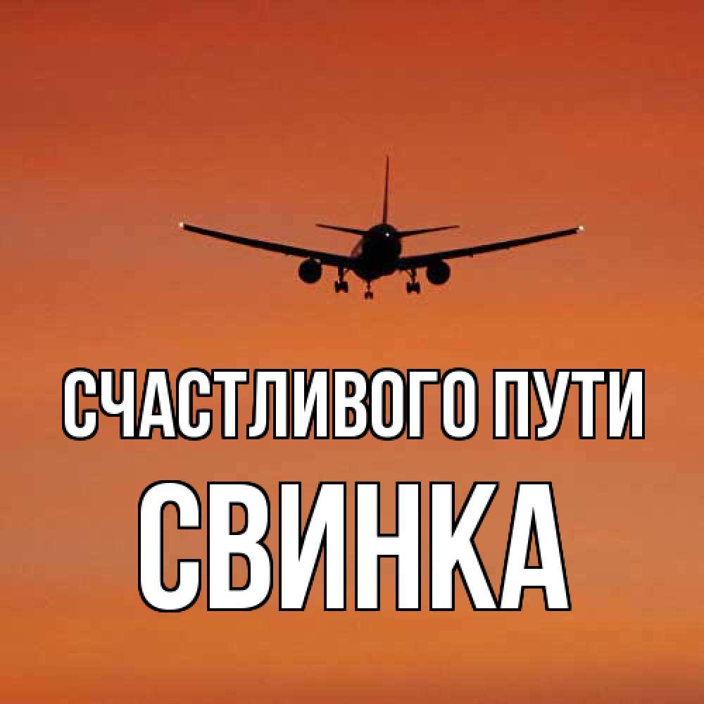 Открытка на каждый день с именем, Свинка Счастливого пути силуэт самолета Прикольная открытка с пожеланием онлайн скачать бесплатно 
