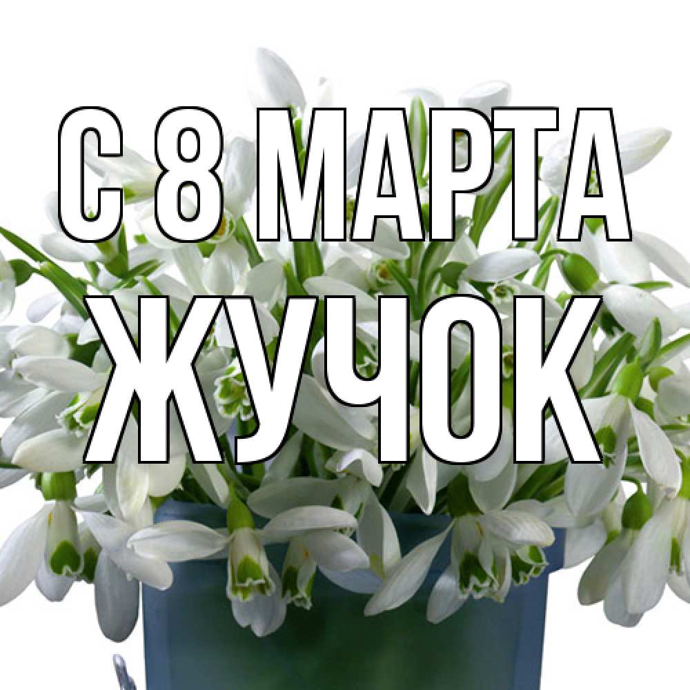 Открытка на каждый день с именем, жучок C 8 МАРТА цветы к международному женскому дню Прикольная открытка с пожеланием онлайн скачать бесплатно 