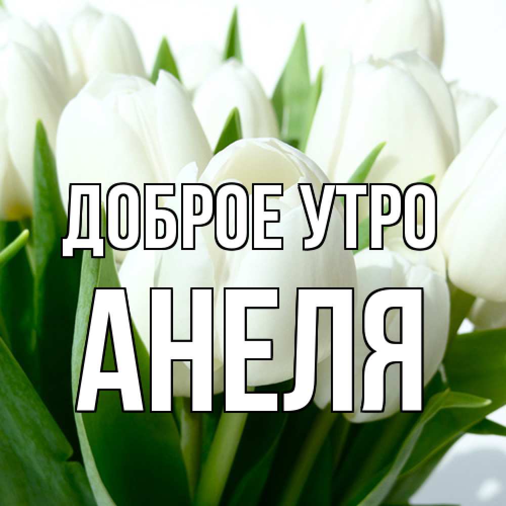 Открытка на каждый день с именем, Анеля Доброе утро открытки на каждый день по именам Прикольная открытка с пожеланием онлайн скачать бесплатно 