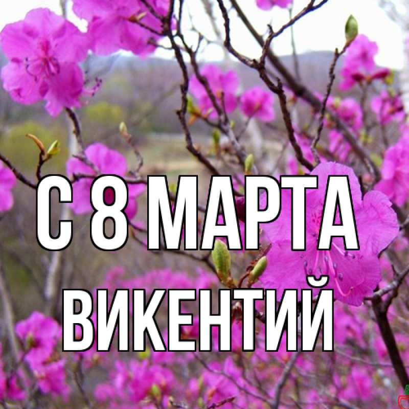 Картинка C 8 МАРТА, Викентий