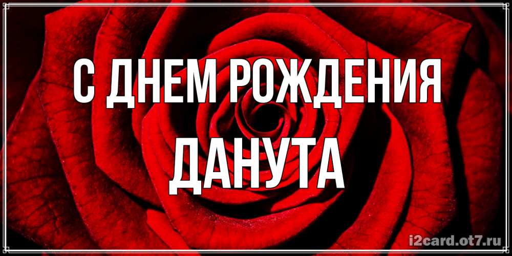 Открытка на каждый день с именем, Данута С днем рождения алая роза Прикольная открытка с пожеланием онлайн скачать бесплатно 