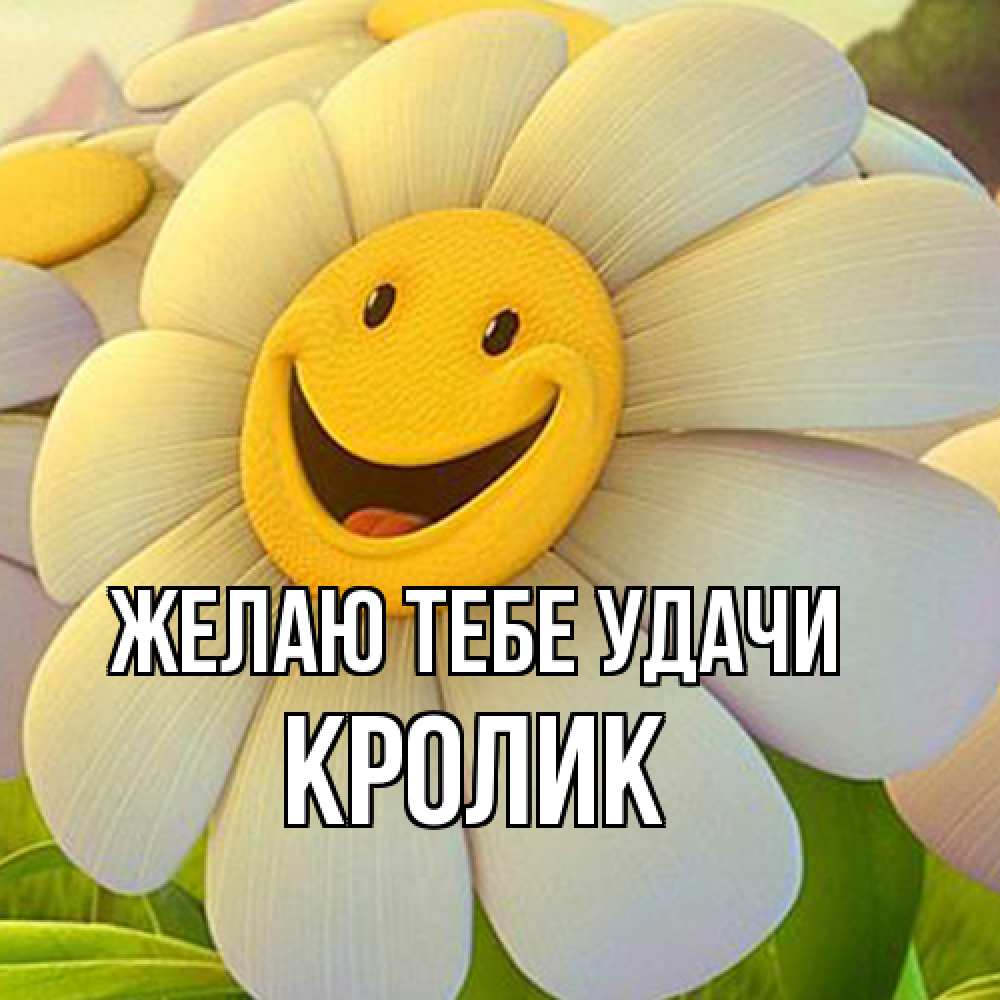 Открытка на каждый день с именем, кролик Желаю тебе удачи подписать открытку своим текстом Прикольная открытка с пожеланием онлайн скачать бесплатно 