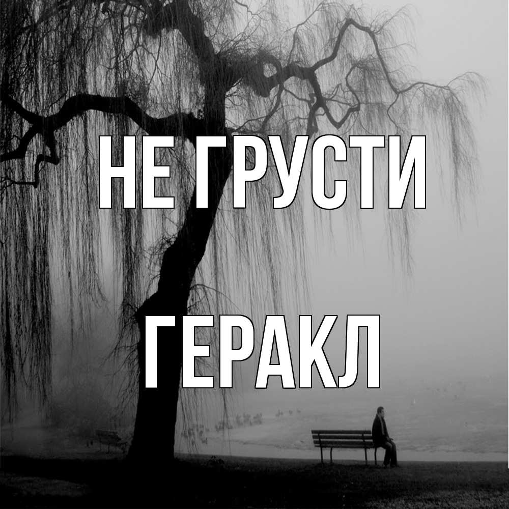 Открытка на каждый день с именем, Геракл Не грусти висящие ветки дерева и лавочка под деревом Прикольная открытка с пожеланием онлайн скачать бесплатно 