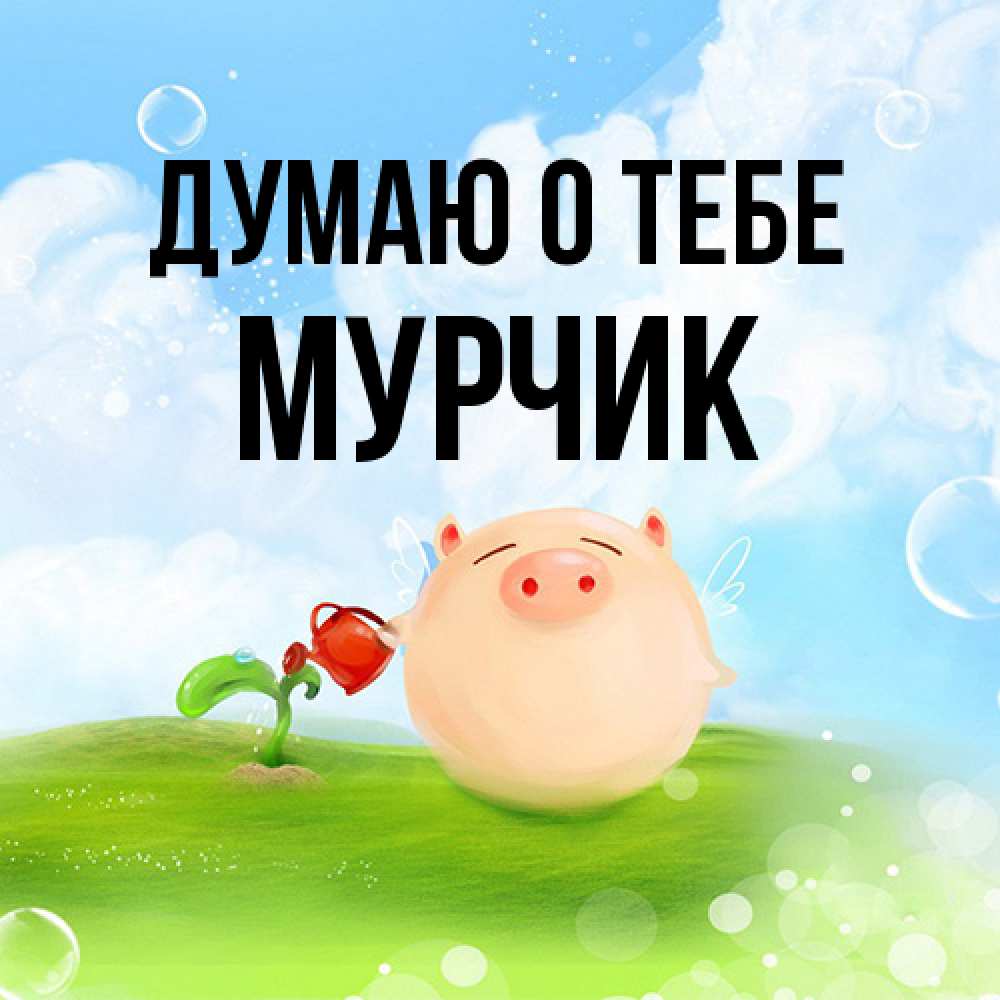 Открытка на каждый день с именем, Мурчик Думаю о тебе позитивная свинюшка Прикольная открытка с пожеланием онлайн скачать бесплатно 