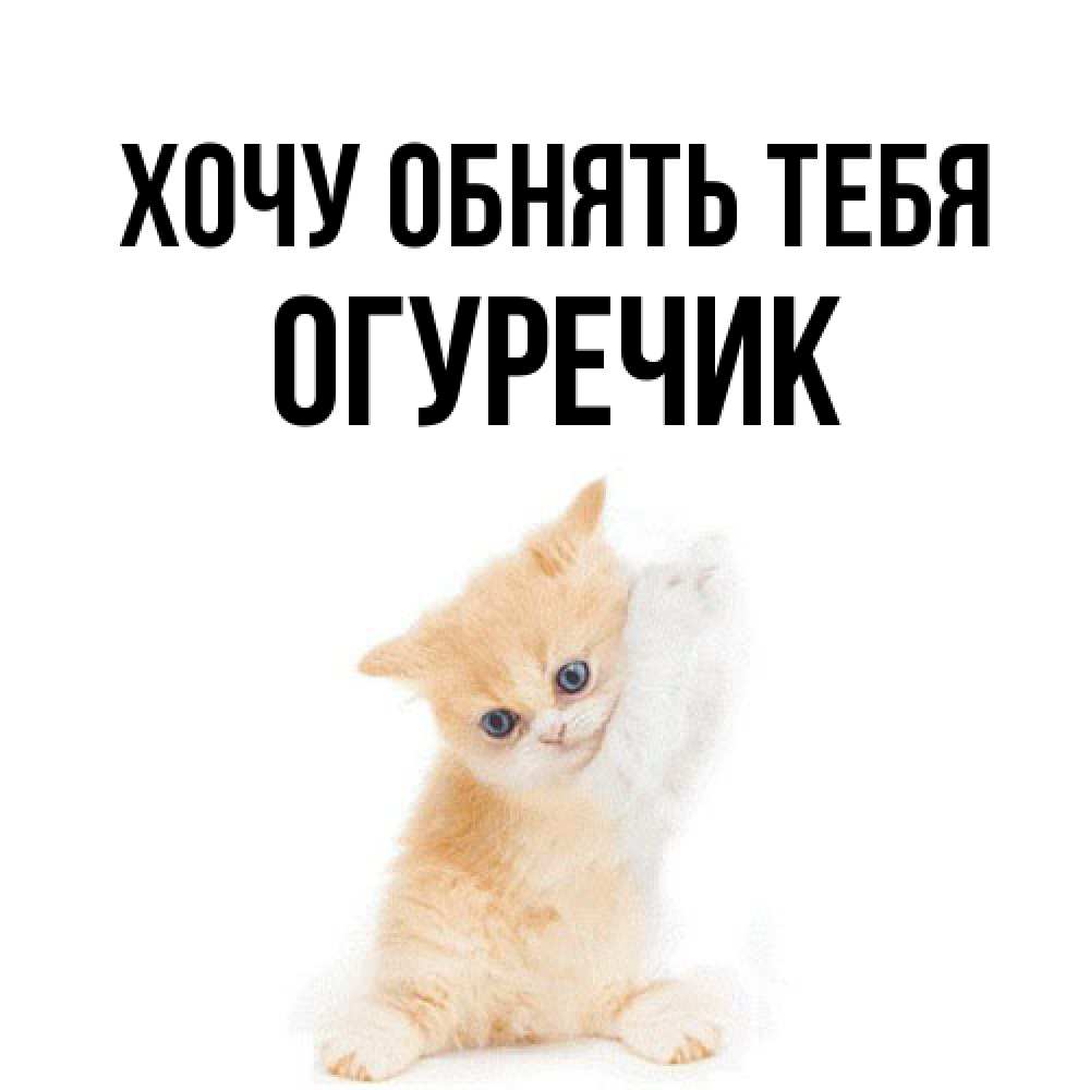 Открытка на каждый день с именем, Огуречик Хочу обнять тебя я хочу очень скорее обнимаешек Прикольная открытка с пожеланием онлайн скачать бесплатно 