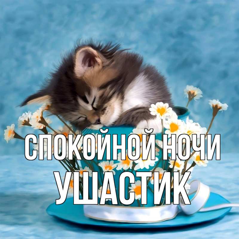 Картинка Спокойной ночи, Ушастик