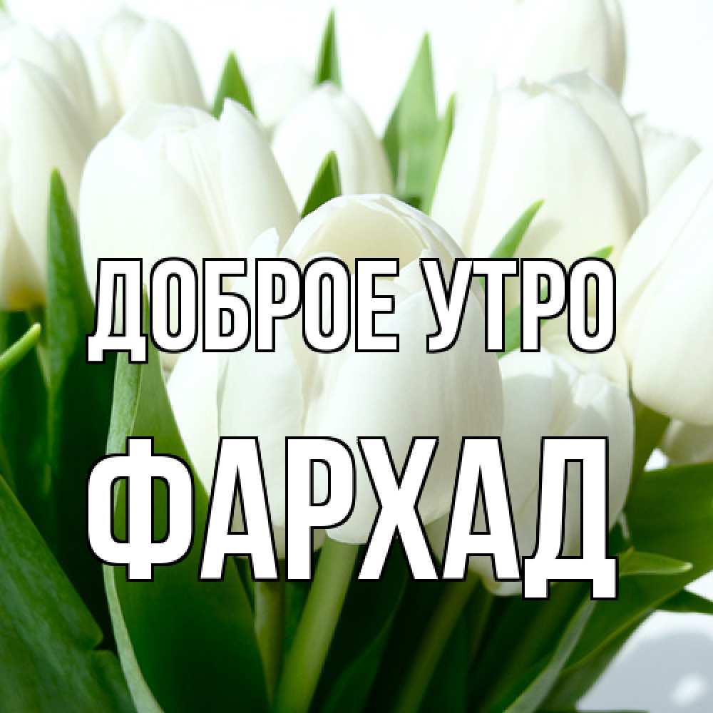 Открытка на каждый день с именем, Фархад Доброе утро открытки на каждый день по именам Прикольная открытка с пожеланием онлайн скачать бесплатно 