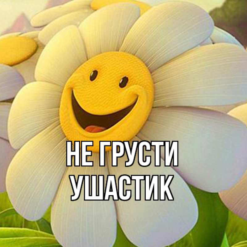 Картинка Не грусти, Ушастик