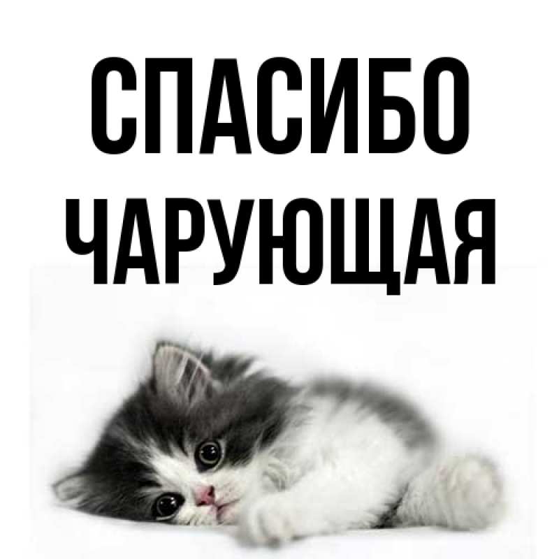 Открытка с именем, Чарующая, Спасибо