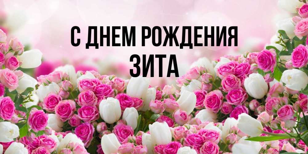 Открытка на каждый день с именем, Зита С днем рождения открытка с разными розами Прикольная открытка с пожеланием онлайн скачать бесплатно 