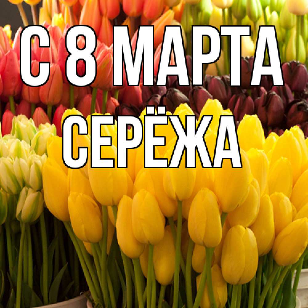 Открытка на каждый день с именем, Серёжа C 8 МАРТА цветы Прикольная открытка с пожеланием онлайн скачать бесплатно 