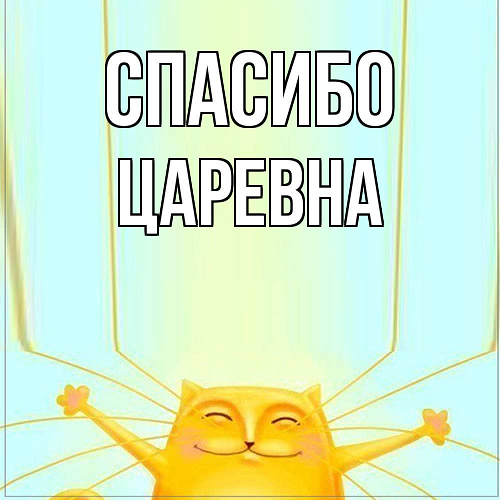 Открытка на каждый день с именем, царевна Спасибо кот с усами благодарит Прикольная открытка с пожеланием онлайн скачать бесплатно 