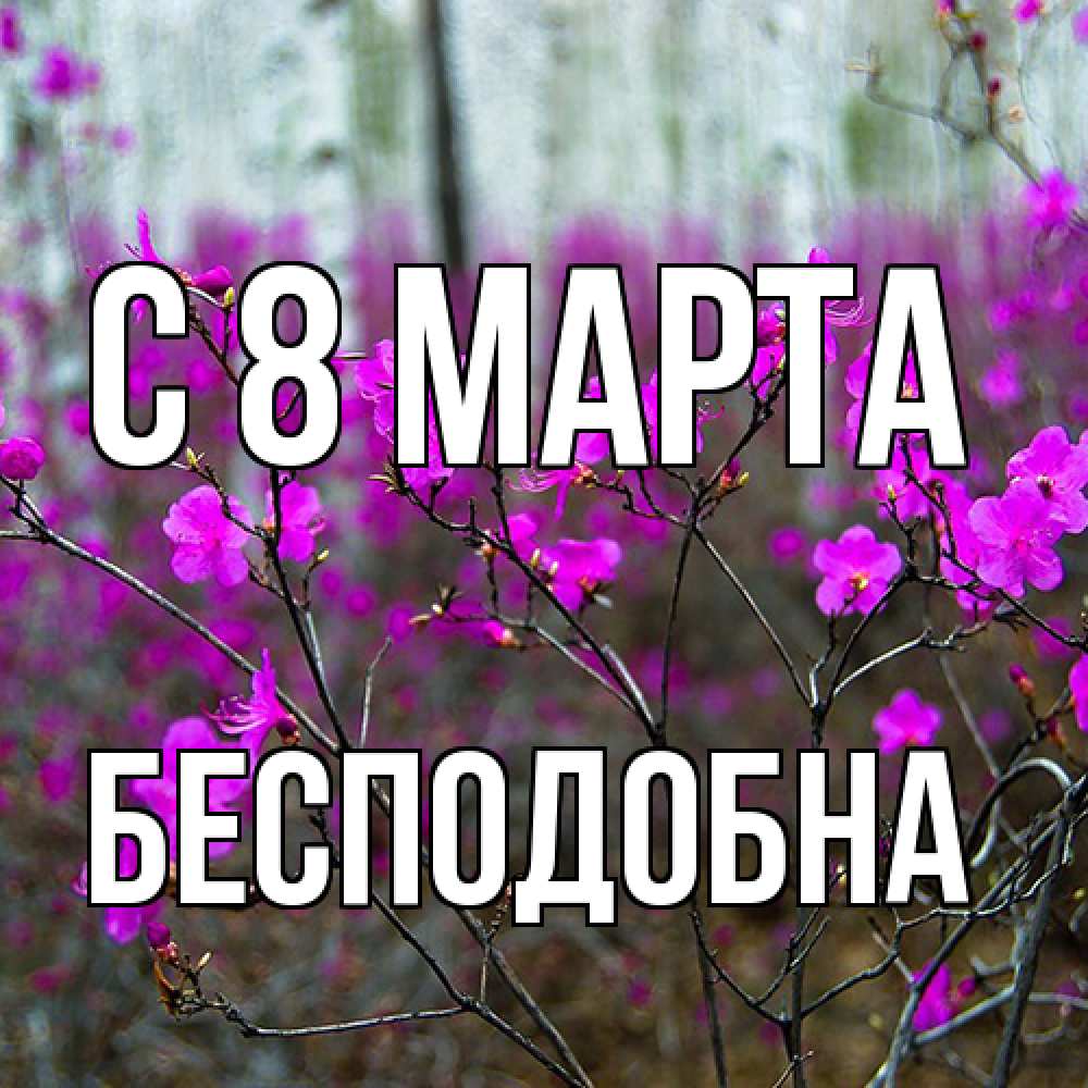 Открытка на каждый день с именем, Бесподобна C 8 МАРТА дикие цветы Прикольная открытка с пожеланием онлайн скачать бесплатно 