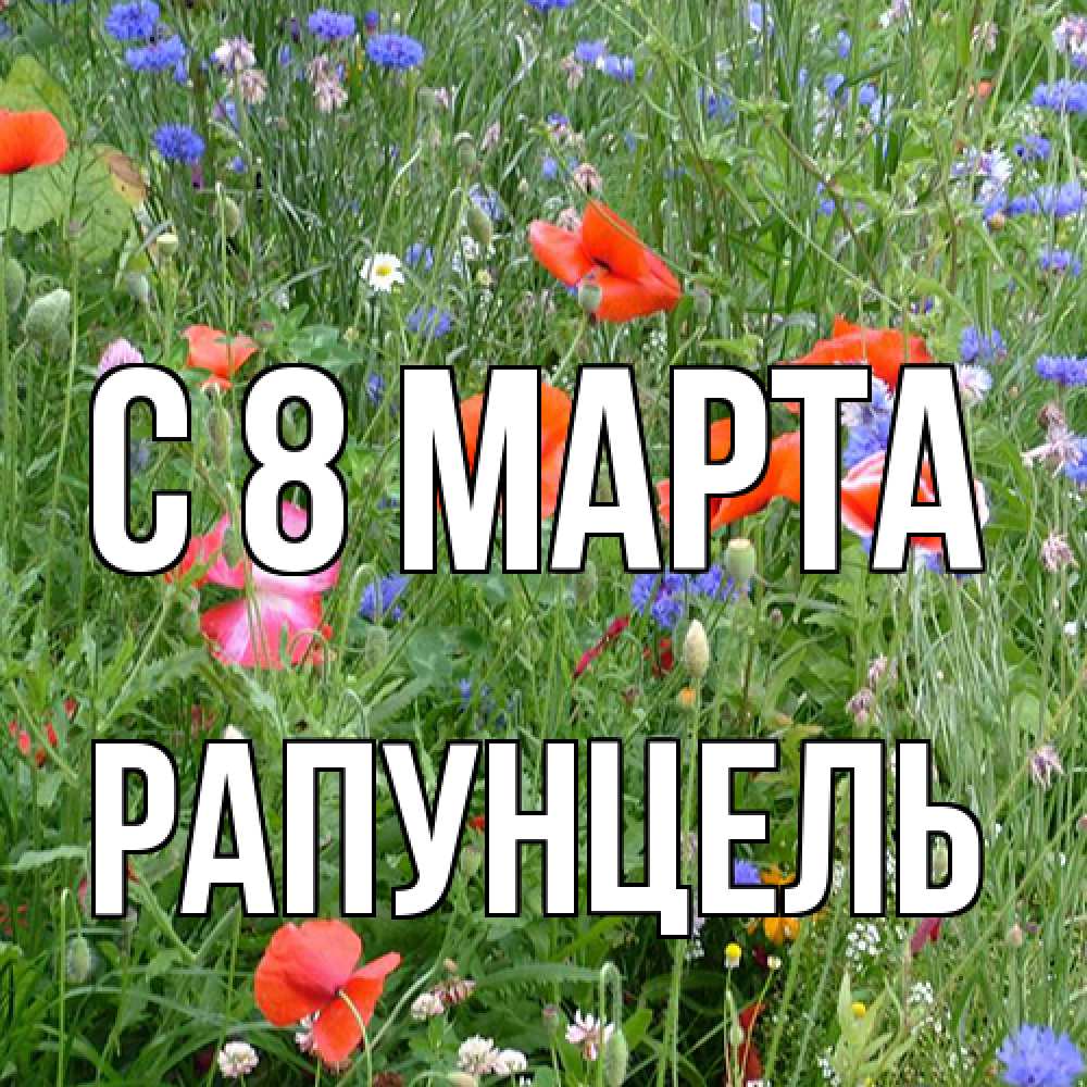 Открытка на каждый день с именем, Рапунцель C 8 МАРТА международный женский день 4 Прикольная открытка с пожеланием онлайн скачать бесплатно 