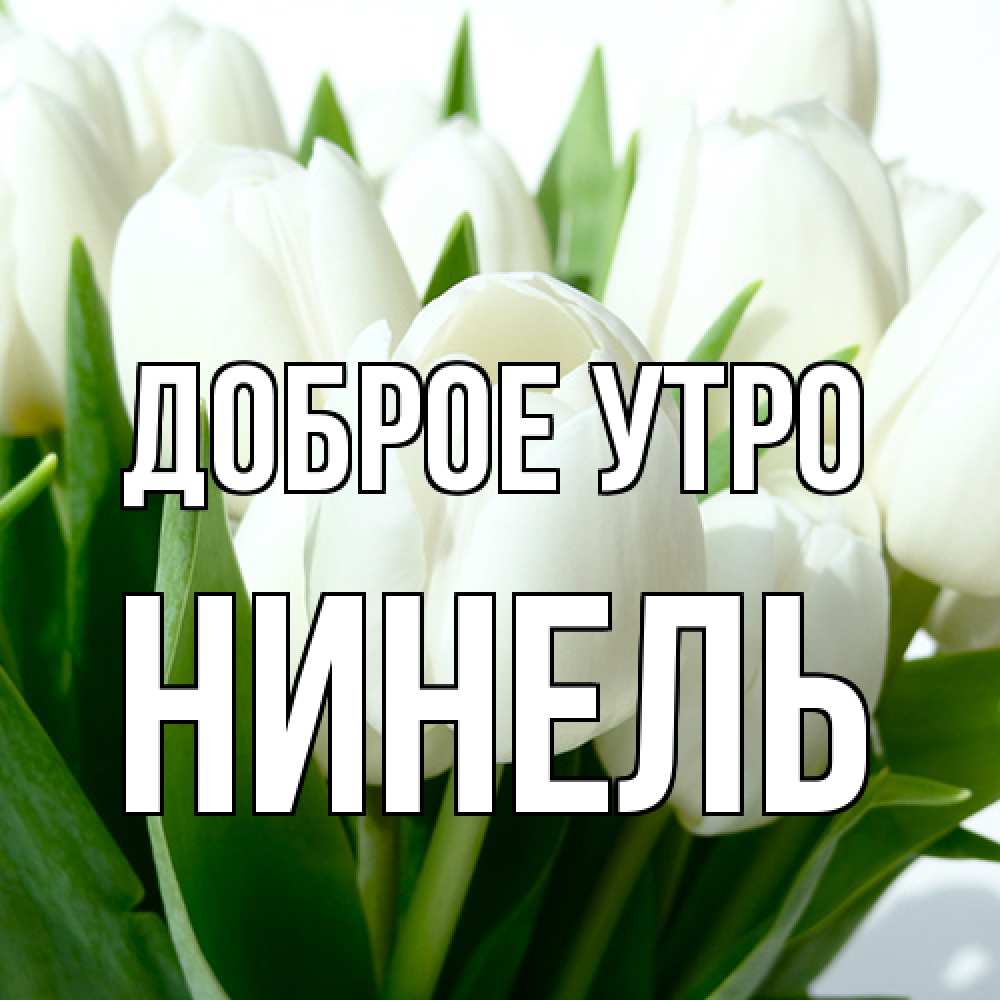 Открытка на каждый день с именем, Нинель Доброе утро открытки на каждый день по именам Прикольная открытка с пожеланием онлайн скачать бесплатно 