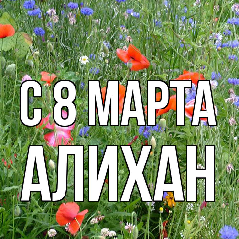 Открытка на каждый день с именем, Алихан C 8 МАРТА международный женский день 4 Прикольная открытка с пожеланием онлайн скачать бесплатно 