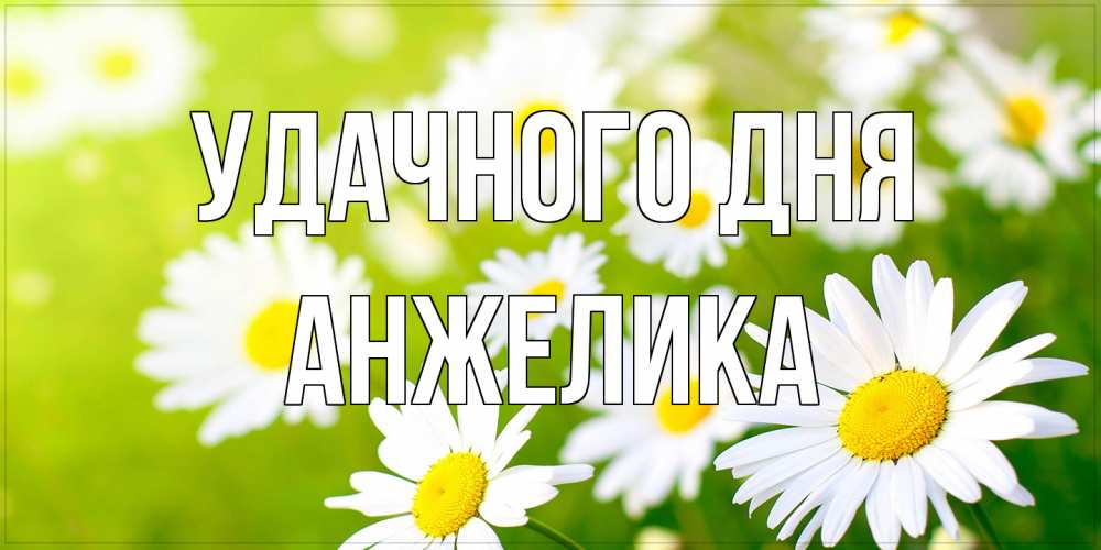 Открытка на каждый день с именем, Анжелика Удачного дня открытка с ромашками на зеленом фоне Прикольная открытка с пожеланием онлайн скачать бесплатно 