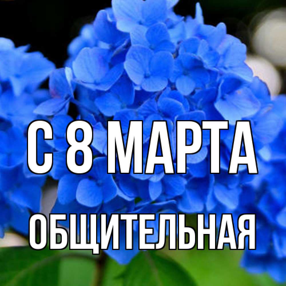 Открытка на каждый день с именем, Общительная C 8 МАРТА синие цветы Прикольная открытка с пожеланием онлайн скачать бесплатно 