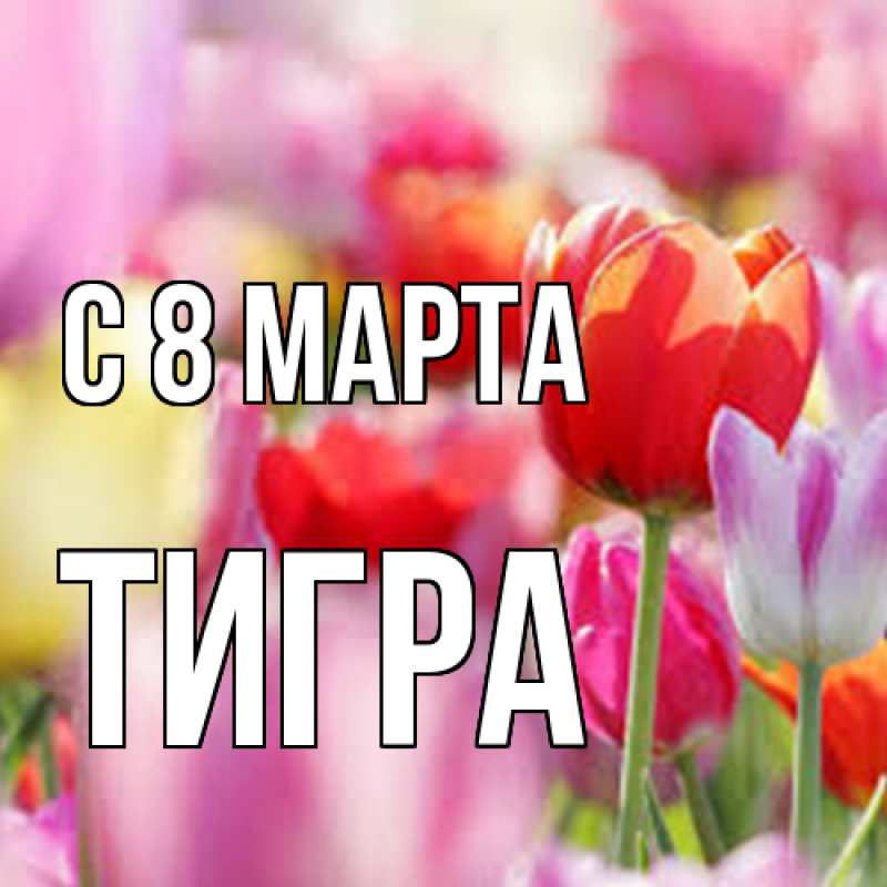 Картинка C 8 МАРТА, Тигpа