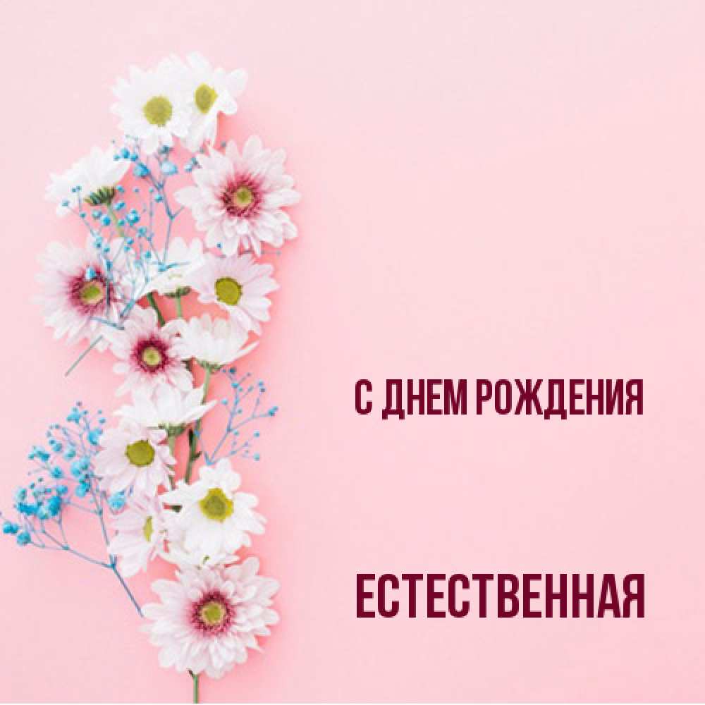 Открытка на каждый день с именем, Естественная С днем рождения Родная моя с днем рождения тебя картинка с цветами белыми и голубыми Прикольная открытка с пожеланием онлайн скачать бесплатно 