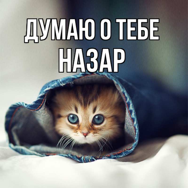 Картинка Думаю о тебе, Назар