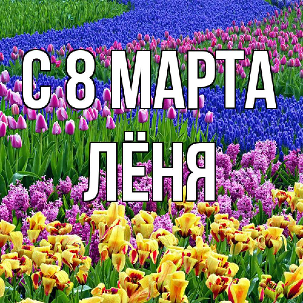 Открытка на каждый день с именем, Лёня C 8 МАРТА цветы Прикольная открытка с пожеланием онлайн скачать бесплатно 