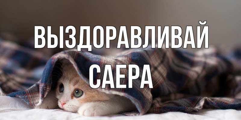 Картинка Выздоравливай, Саера