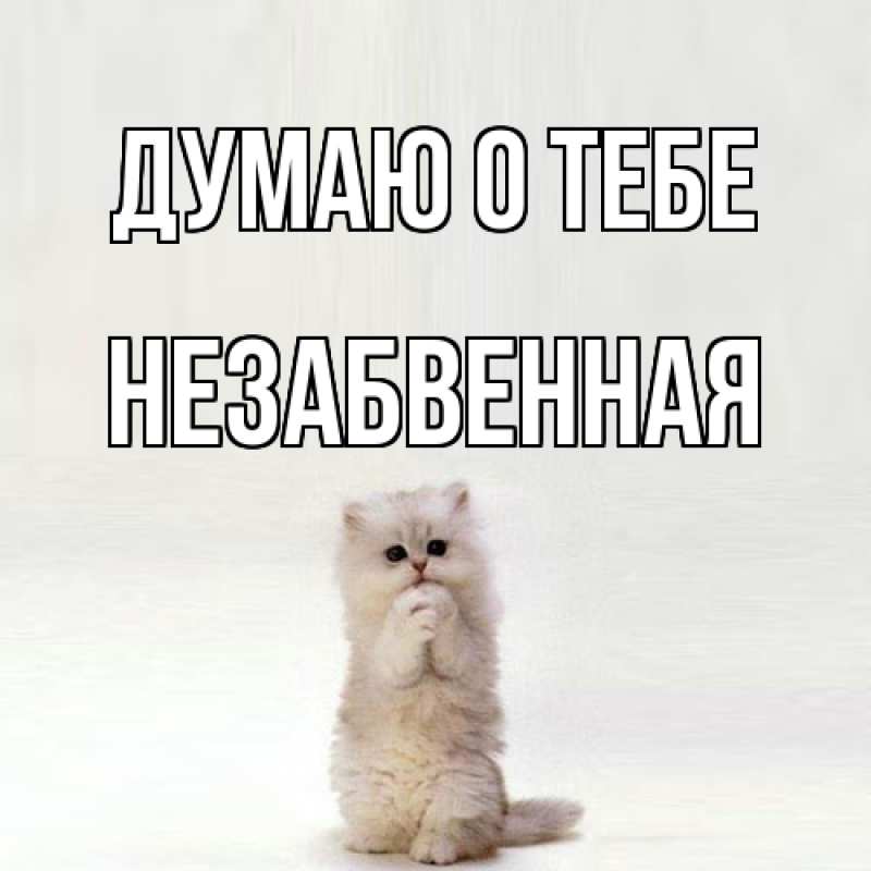 Картинка Думаю о тебе, незабвенная