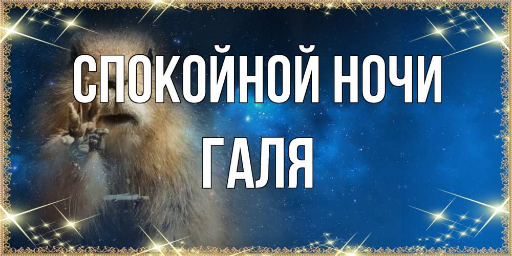 Открытка на каждый день с именем, Галя Спокойной ночи спокойной ночи сладких снов Прикольная открытка с пожеланием онлайн скачать бесплатно 