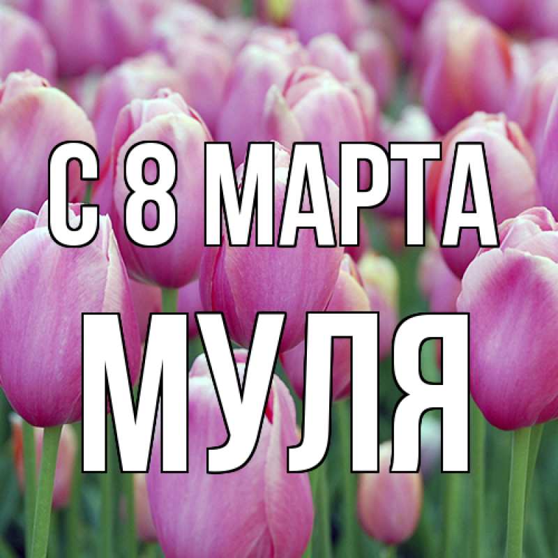Картинка C 8 МАРТА, Муля