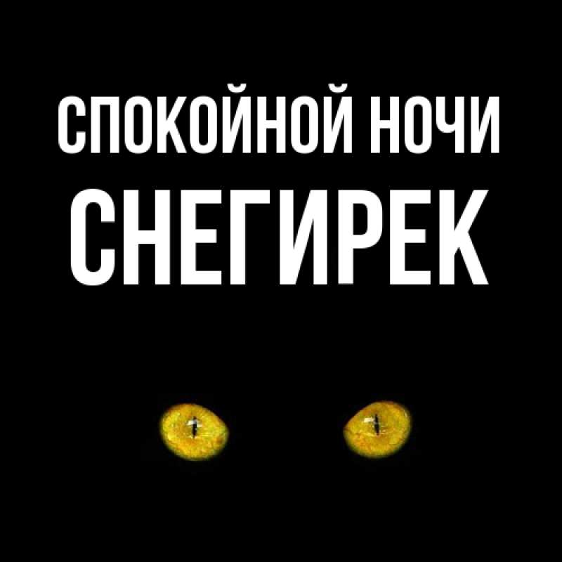 Картинка Спокойной ночи, снегирек